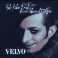 Ich liebe Dich, kann ich nicht sagen (Song Cover)